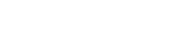 WP Audit Site